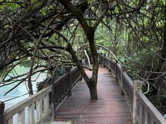 -贵阳市花溪国家城市湿地公园