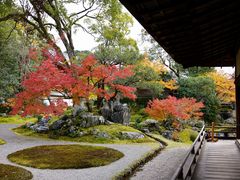 -醍醐寺