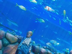 -华夏文旅海洋公园