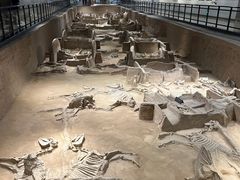 -洛阳周王城天子驾六博物馆