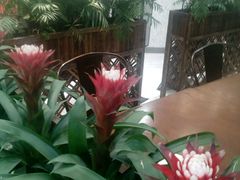 -斯比特花园西餐厅(东方商厦店)