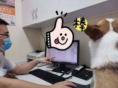 -瑞派宠物医院·24h·骨外科·皮肤科·全科宠物医疗转诊中心(沈阳浑南院)