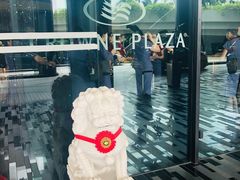 -樟宜机场皇冠假日酒店 （SG Clean） - IHG 旗下酒店