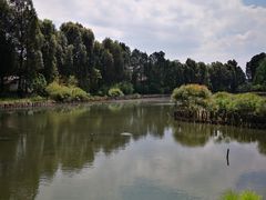 -云南民族村