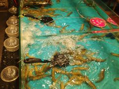 -阳光岛·海鲜盛宴(银泰中心in99店)
