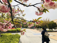 -南京航空航天大学(将军路校区)