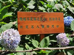 -寂照庵
