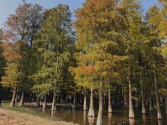 -四明山国家森林公园
