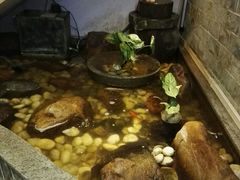 -小糖朝(恒信店)