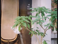 -梵几(东信·和创园店)