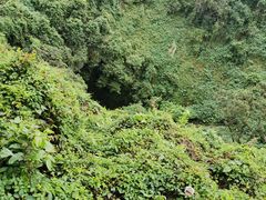 -海口火山口国家地质公园