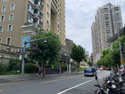 -复旦大学附属妇产科医院(黄浦院区)