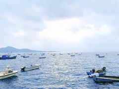 -海源公园