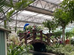 -南宫五洲植物乐园