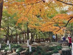-虞山风景区