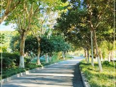 -后襄河公园