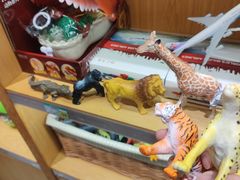 -常州奔牛国际机场