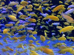 -成都浩海立方海洋公园