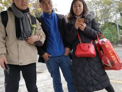 -乔森驾校(杨家坪总校)