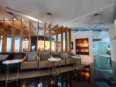 -虹桥机场国航贵宾室v8