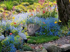 -上海共青森林公园