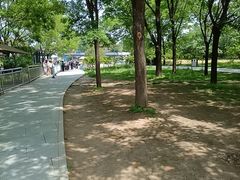 -秦始皇帝陵博物院-丽山园
