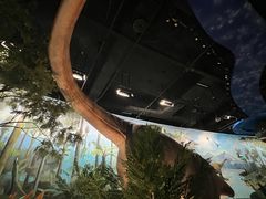 -陕西自然博物馆