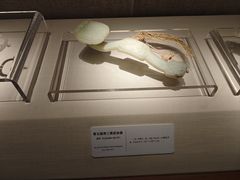 -旅顺博物馆