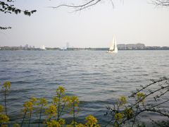 -金鸡湖桃花岛