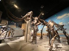 -国家自然博物馆