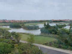 -棕榈滩海景高尔夫俱乐部