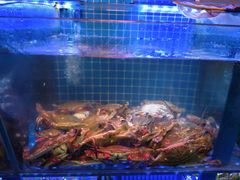 -老家黄墩小错鸡·活海鲜