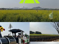 -光明小镇欢乐田园