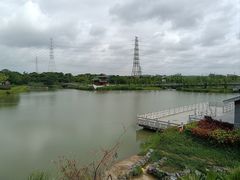 -王借岗森林公园