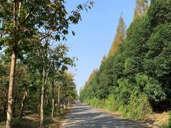 -上海海湾国家森林公园