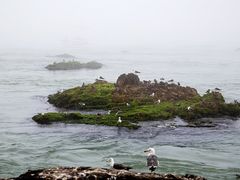 -海驴岛(荣成市)