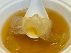 -广州富力君悦大酒店空中花园