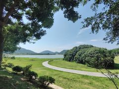 -风云岭森林公园