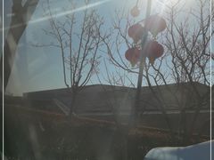 -北京周口店北京人遗址博物馆