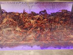 -圣罗巴海鲜烤肉自助(赤峰店)