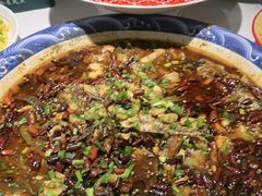 -新概念来凤鱼(璧山店)