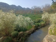 -中国茶叶博物馆(双峰馆区)