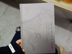 -天津图书馆(复康路馆)