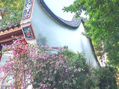 -乌山风景区