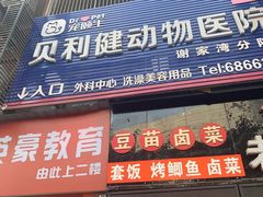 -宠颐生贝利健动物医院(谢家湾分院)