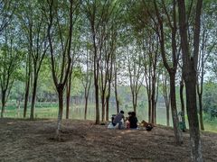 -东郊湿地公园