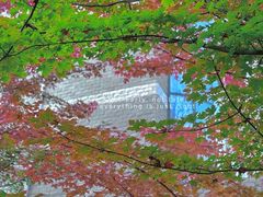 -辽宁大学(崇山校区)