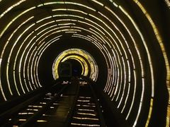 -东方明珠国际旅行社有限公司