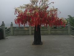 -南京市江宁方山