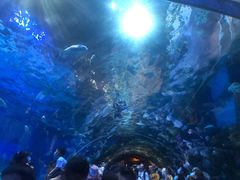 -华夏文旅海洋公园